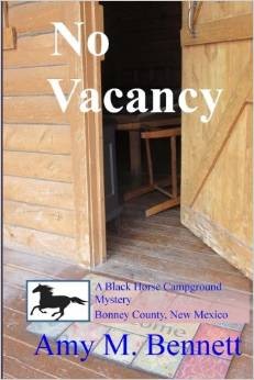 No Vacancy- By Amy Bennett 1