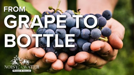 From Grape to Bottle Tasting
