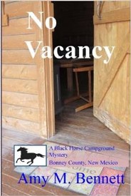 No Vacancy- By Amy Bennett